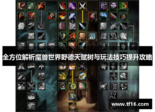 全方位解析魔兽世界野德天赋树与玩法技巧提升攻略