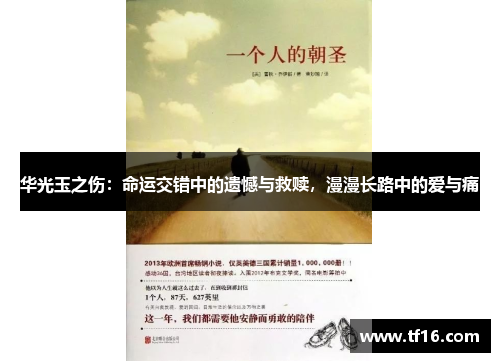 华光玉之伤：命运交错中的遗憾与救赎，漫漫长路中的爱与痛