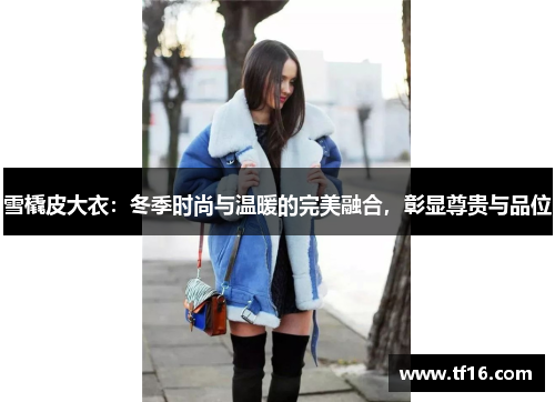 雪橇皮大衣：冬季时尚与温暖的完美融合，彰显尊贵与品位