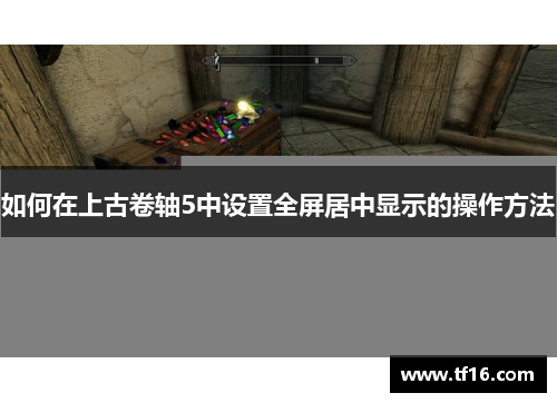 如何在上古卷轴5中设置全屏居中显示的操作方法