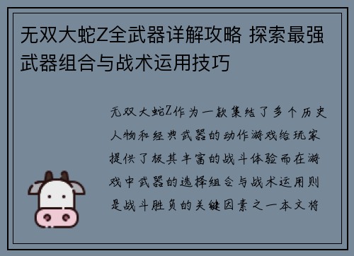 无双大蛇Z全武器详解攻略 探索最强武器组合与战术运用技巧